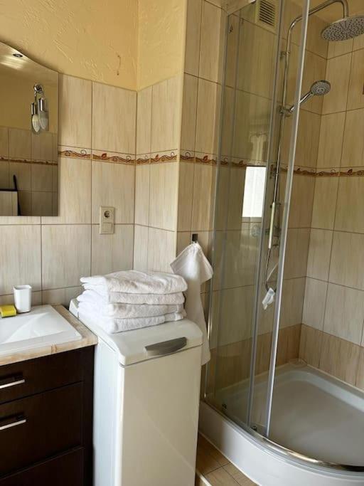 Jelenizen Apartment Jelenia Gora Luaran gambar