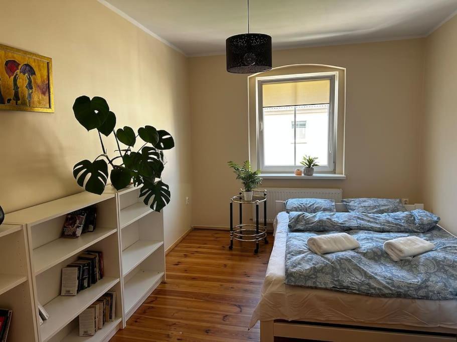Jelenizen Apartment Jelenia Gora Luaran gambar