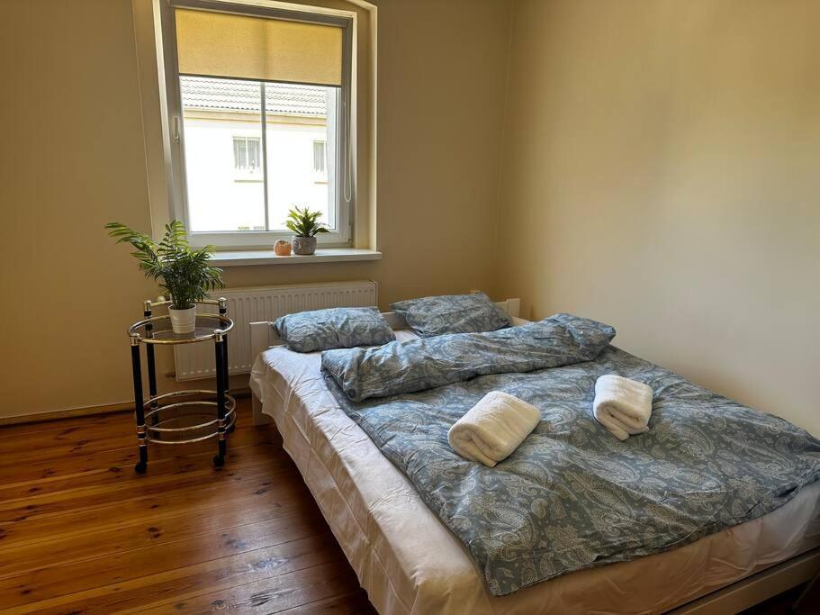 Jelenizen Apartment Jelenia Gora Luaran gambar